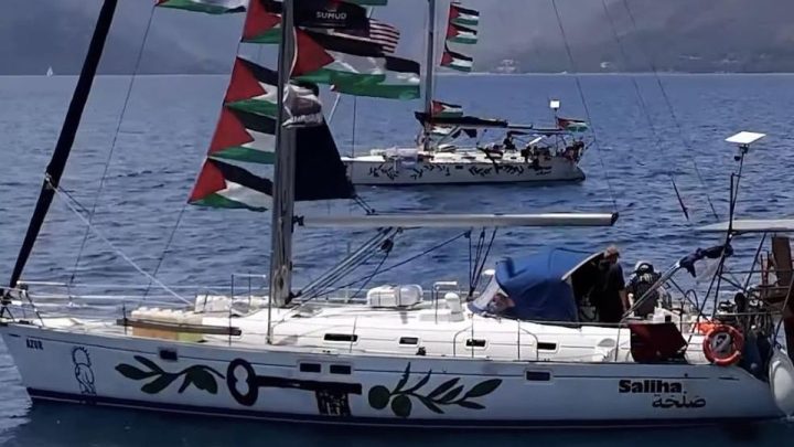 Dewan Pers Minta Pemerintah Bebaskan Jurnalis RI yang Ditangkap Israel