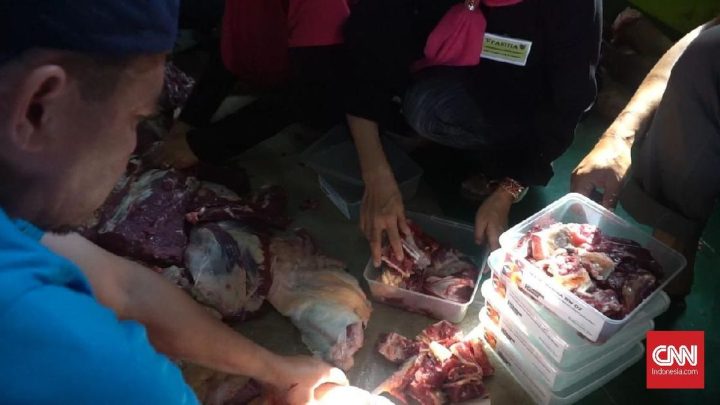 Main Agenda: 5 Cara Simpan Daging Kurban agar Tetap Segar dan Tahan Lama