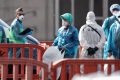 Dinkes DKI Temukan 4 Kasus Hantavirus di Jakarta – Minta Warga Waspada