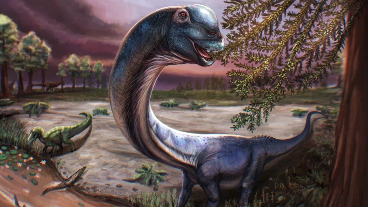 dinosaurus-raksasa-teridentifikasi-dari-fosil-di-thailand-dinamai-nagatitan-1778831470464_169