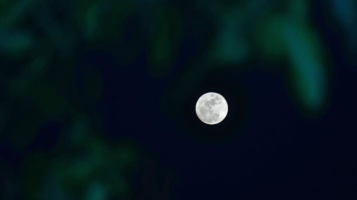 fenomena-blue-moon_169