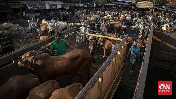 FOTO: Geliat Pasar Hewan Jonggol Jelang Iduladha