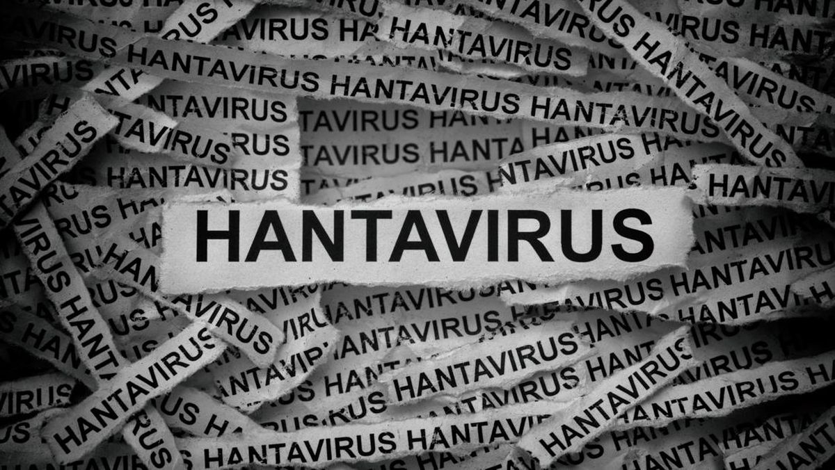 ilustrasi-hantavirus-1778549396948_169-1
