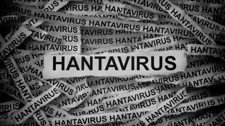 Mengenal HFRS – Infeksi Hantavirus yang Umum Ditemukan di Indonesia