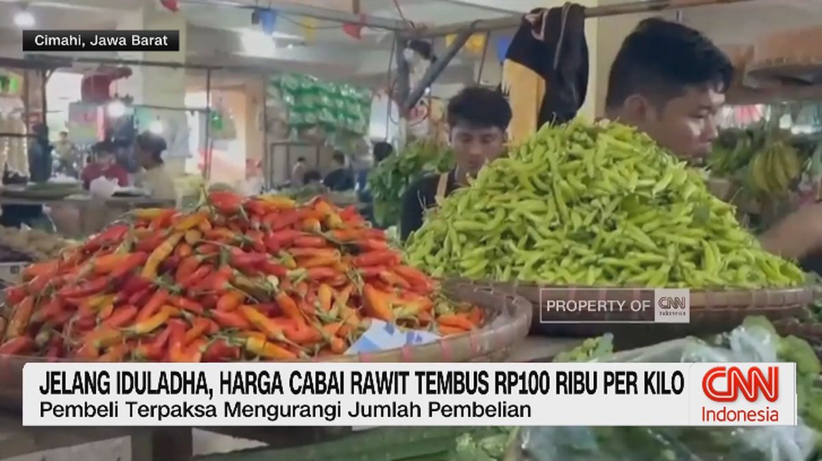 jelang-iduladha-harga-cabai-dan-ikan-laut-alami-kenaikan-1779799188209_169