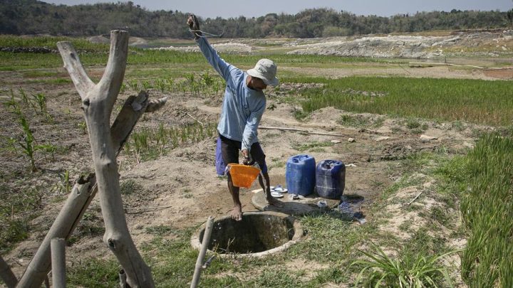 BMKG Bocorkan Kapan Puncak Musim Kemarau Tiba di Indonesia