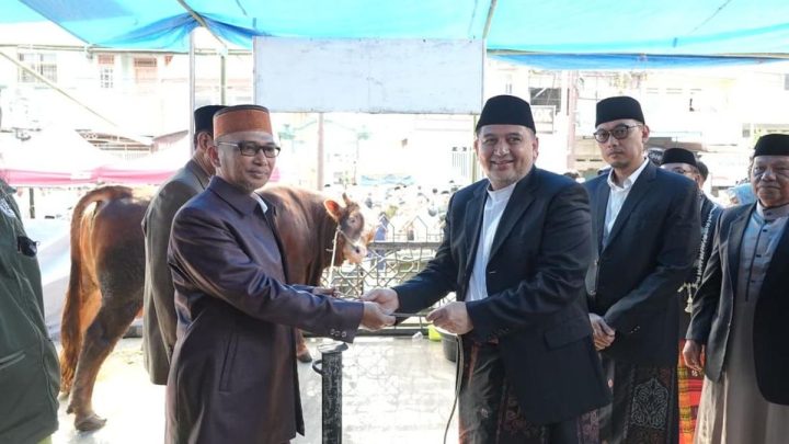 Iduladha 2026 – Pemkot Makassar Distribusikan 7.261 Sapi & 402 Kambing