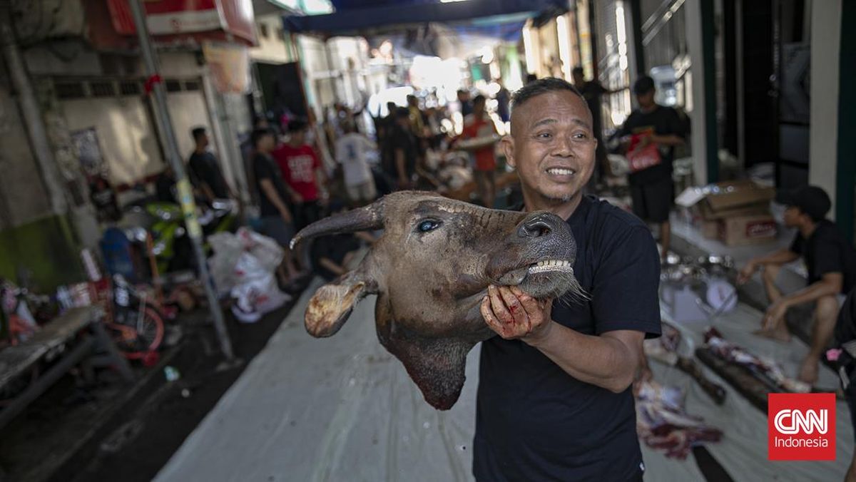 pemotongan-hewan-kurban-di-jakarta-1779856532958_169