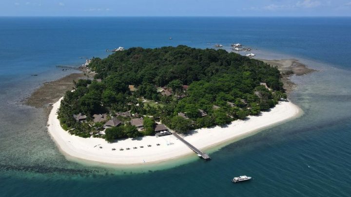 Latest Program: Rumah 425 Spesies Ikan Karang, Bintan Kini Punya Lembaga Konservasi