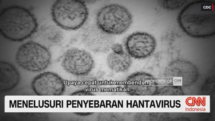 What You Need to Know: VIDEO: Menelusuri Penyebaran Hantavirus
