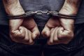 3 Penjual Sisik Trenggiling hingga Kulit Beruang Ditangkap di Sumut