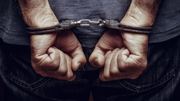 3 Penjual Sisik Trenggiling hingga Kulit Beruang Ditangkap di Sumut