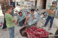 VIDEO: Jenuh di Tenda – Dua Warga Gaza Tewas Diserang Zionis