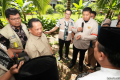 Special Plan: Banyak RTLH, Mendagri Cek Penerima Bantuan Bedah Rumah di Jaktim