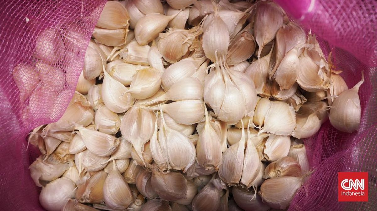 indonesia-pengimpor-bawang-putih-terbesar-di-dunia-5_169