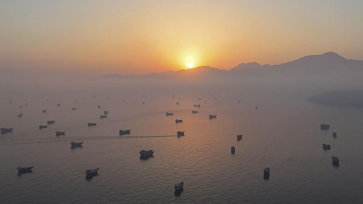 kesepakatan-damai-di-depan-mata-selat-hormuz-segera-buka-1781505172675_169