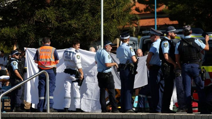 FOTO: Perempuan Terluka Parah Diserang Hiu di Pantai Sydney