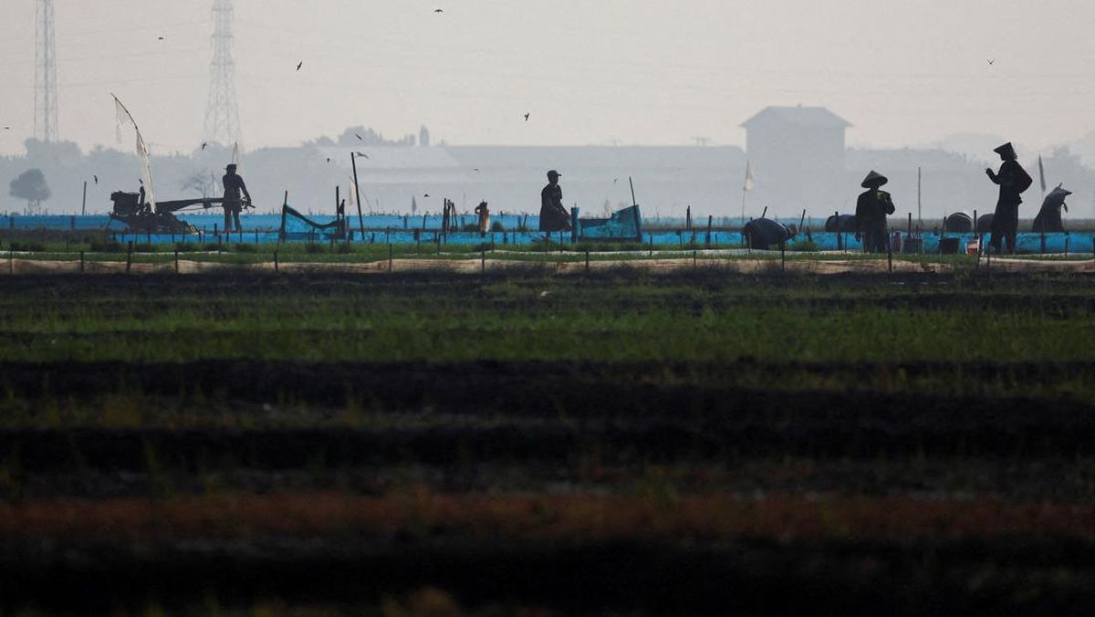 petani-indonesia-bersiap-hadapi-el-nino-1780980883710_169