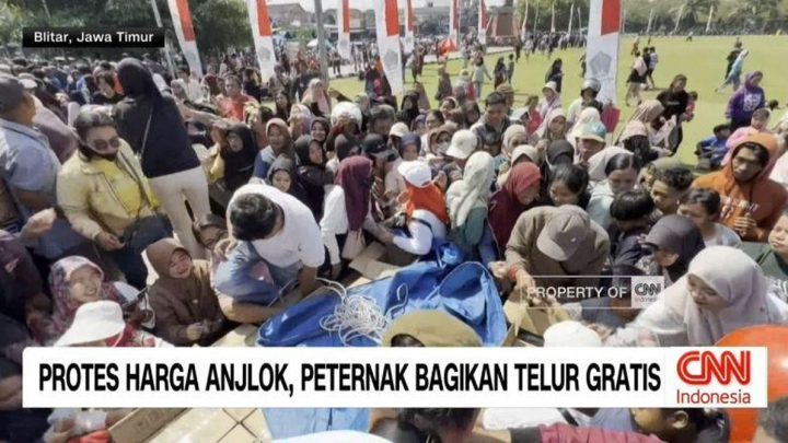 VIDEO: Protes Harga Anjlok – Peternak Bagikan Telur Gratis