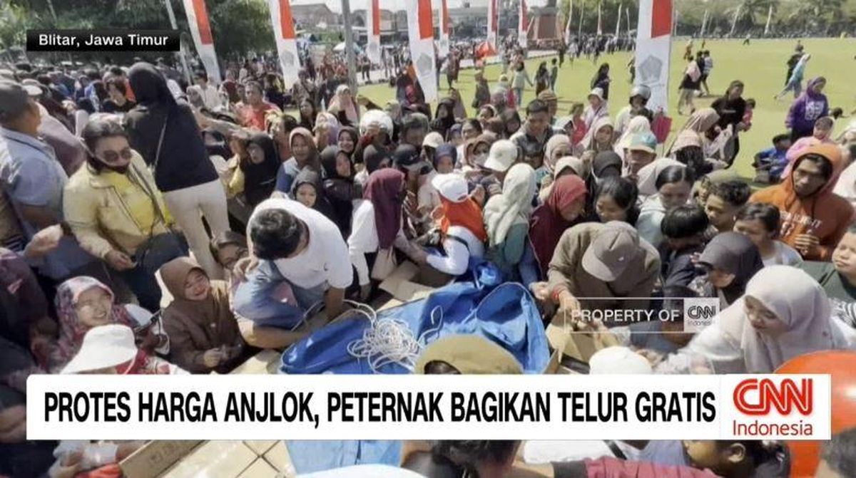 protes-harga-anjlok-peternak-bagikan-telur-gratis-1780323110282_169