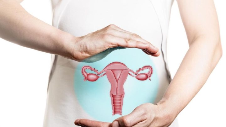 Topics Covered: PCOS Resmi Jadi PMOS, Ini 5 Fakta Penting yang Perlu Diketahui