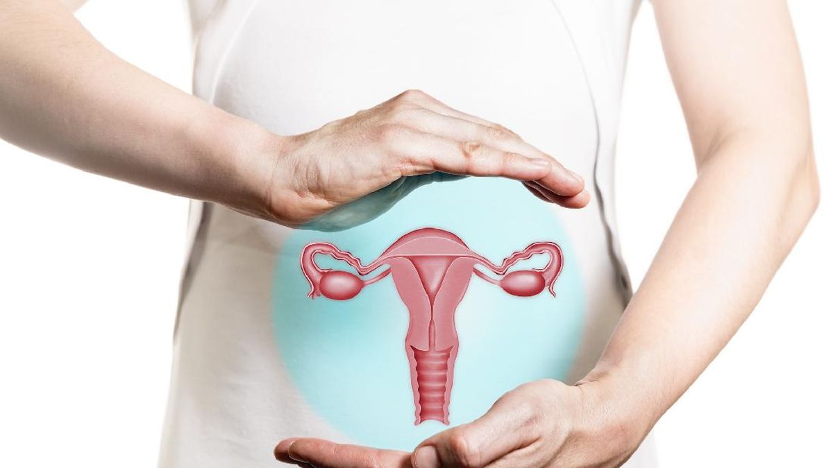 sistem-reproduksi-wanita-1_169