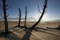 El Nino Super Diperkirakan Picu Kerugian Ratusan Triliun di Afrika