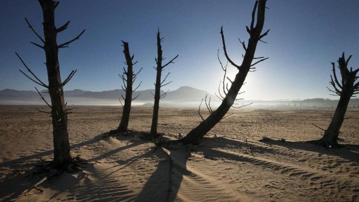 El Nino Super Diperkirakan Picu Kerugian Ratusan Triliun di Afrika