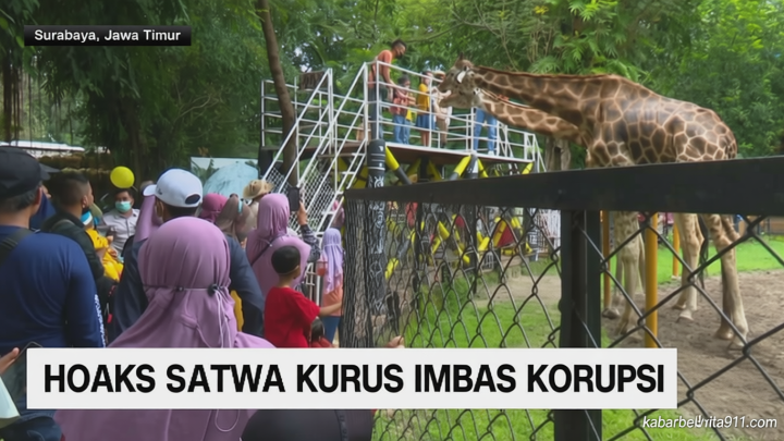 VIDEO: Hoaks Satwa Kurus Imbas Korupsi