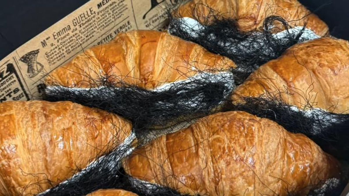 croissant-berambut-viral-1784505364947_169