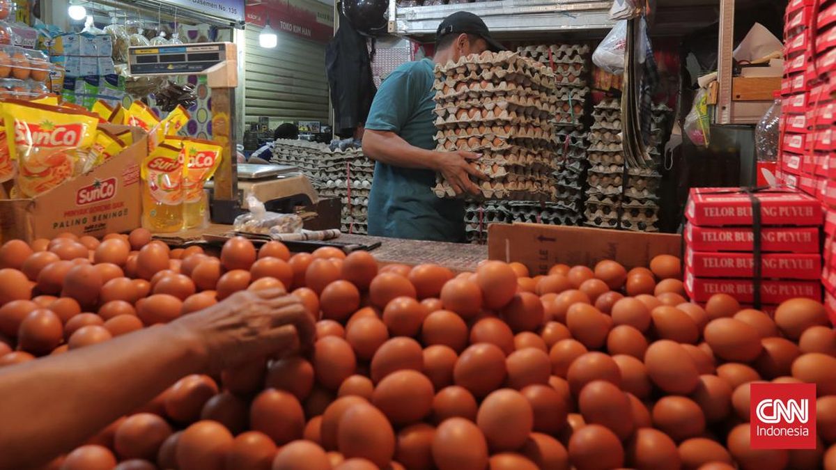 harga-telur-merangkak-naik-11_169