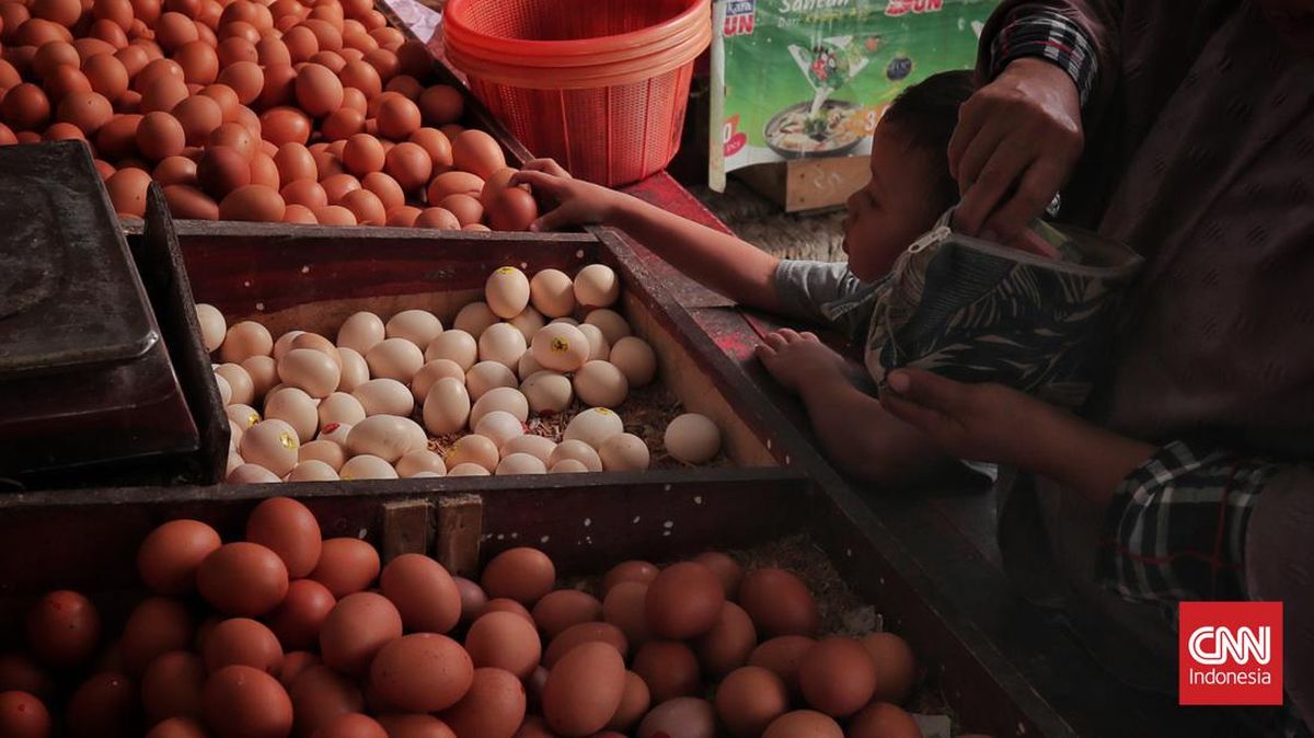 harga-telur-merangkak-naik-6_169
