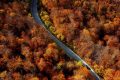 Key Strategy: Road Trip di Luar Negeri? Nyetir di 10 Negara Ini Perlu Ekstra Waspada