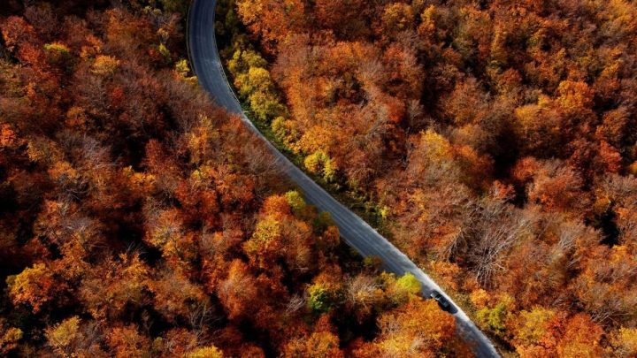Key Strategy: Road Trip di Luar Negeri? Nyetir di 10 Negara Ini Perlu Ekstra Waspada