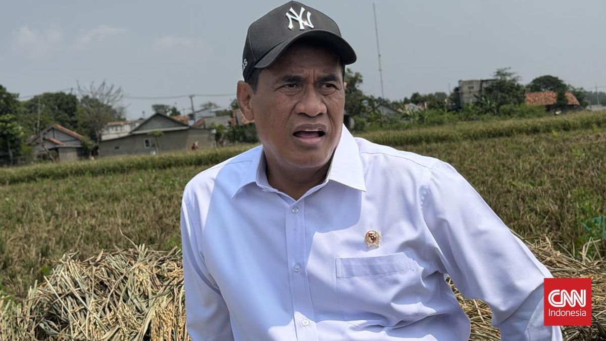 amran-buka-akses-alsintan-untuk-buruh-tani-tak-punya-sawah-1788165166953_169