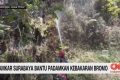 VIDEO: Damkar Surabaya Bantu Padamkan Kebakaran Bromo