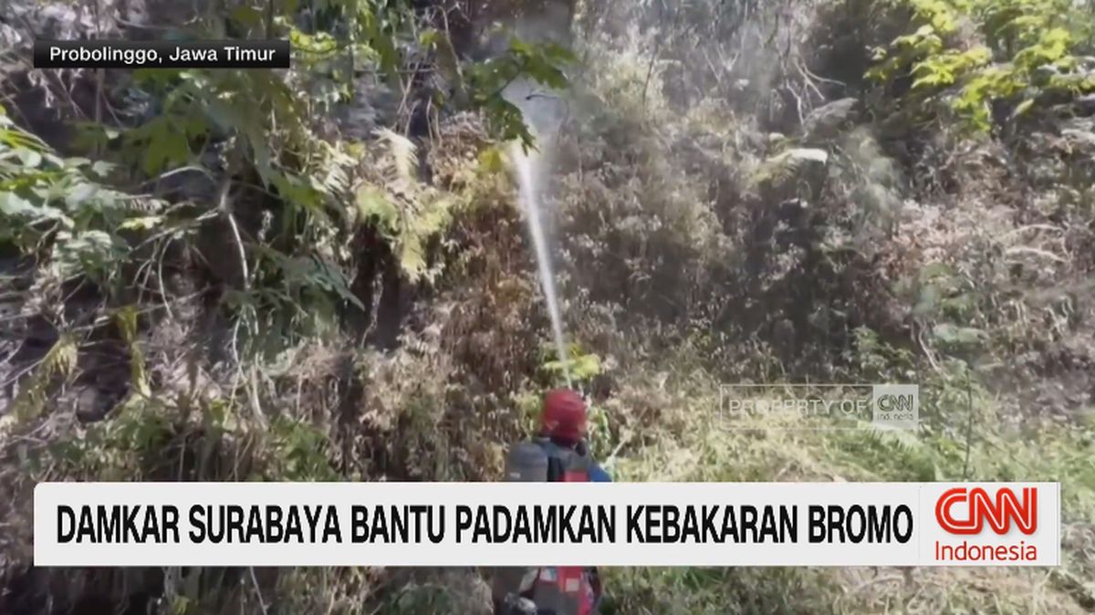 damkar-surabaya-bantu-padamkan-kebakaran-bromo-1786588940037_169