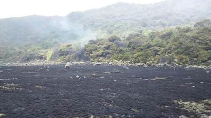 Karhutla di Alun-alun Suryakancana Gunung Gede Pangrango