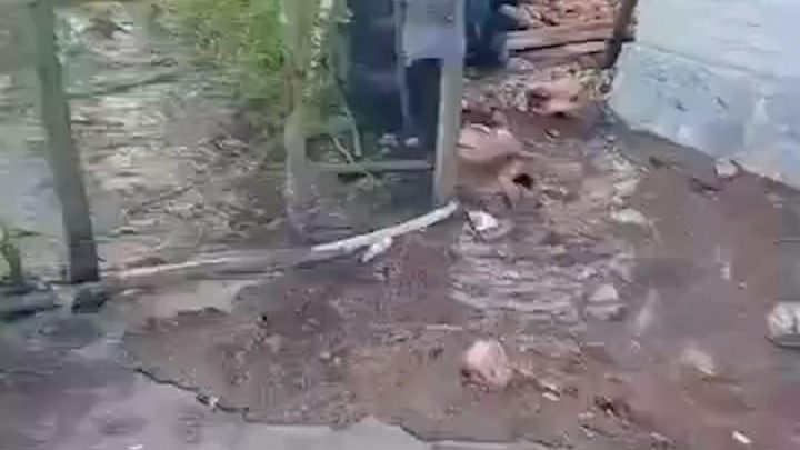 detik Tsunami Kecil Terjang Selayar Usai Gempa NTT