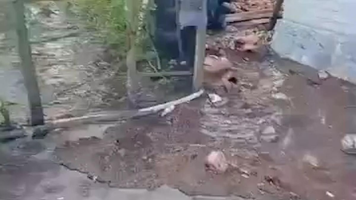 detik-detik-tsunami-kecil-terjang-selayar-usai-gempa-m7-ntt-1786781075688_169