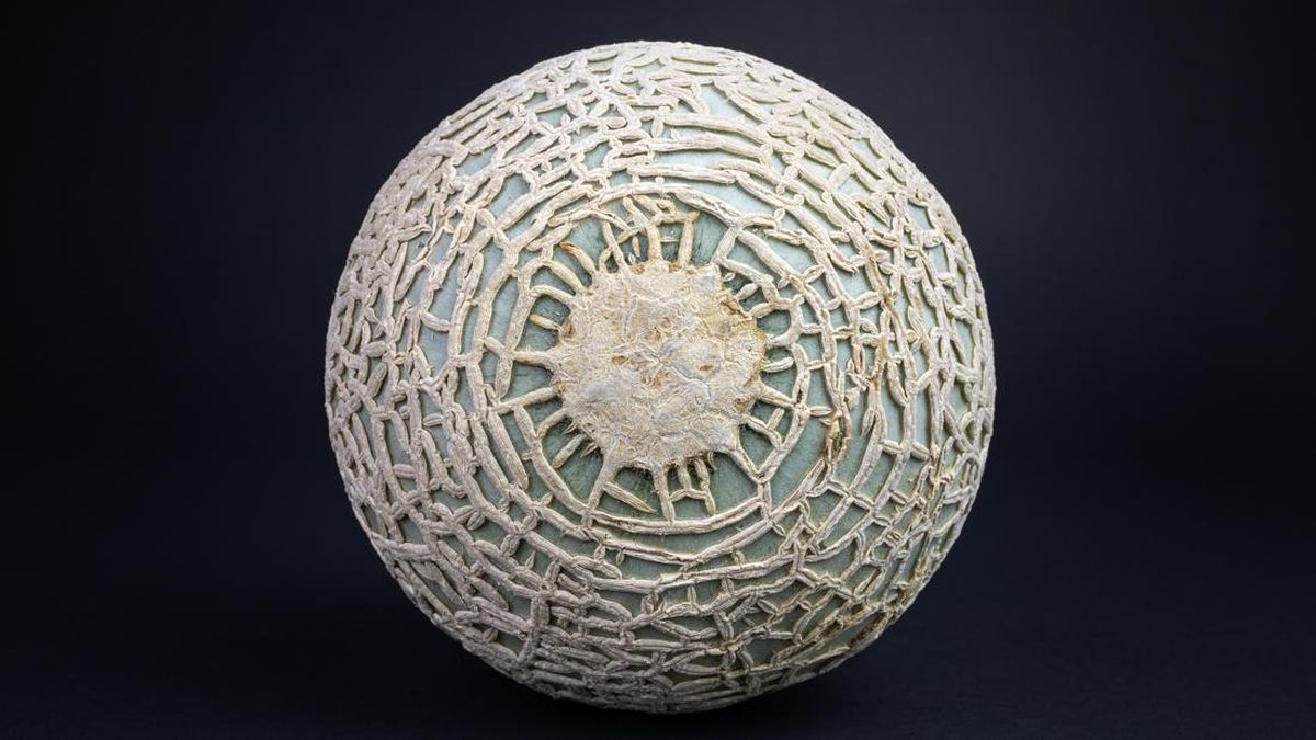 ilustrasi-melon-yubari-king-1786000660142_169