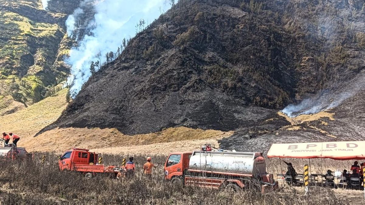 kebakaran-bromo-meluas-jadi-176-hektare-1786108419489_169