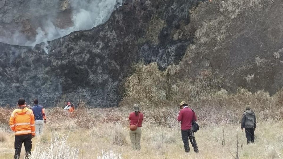 kebakaran-bromo-mereda-1786689617134_169