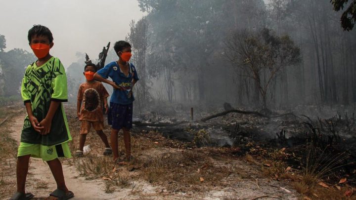 Karhutla Kalteng: 298 Kasus di Palangka Raya, Penerbangan Dibatalkan