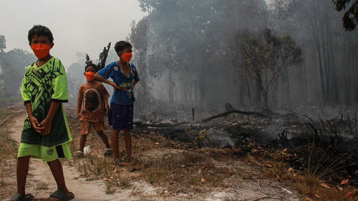 kebakaran-lahan-di-palangka-raya-mendekati-perumahan-warga-1787188254501_169