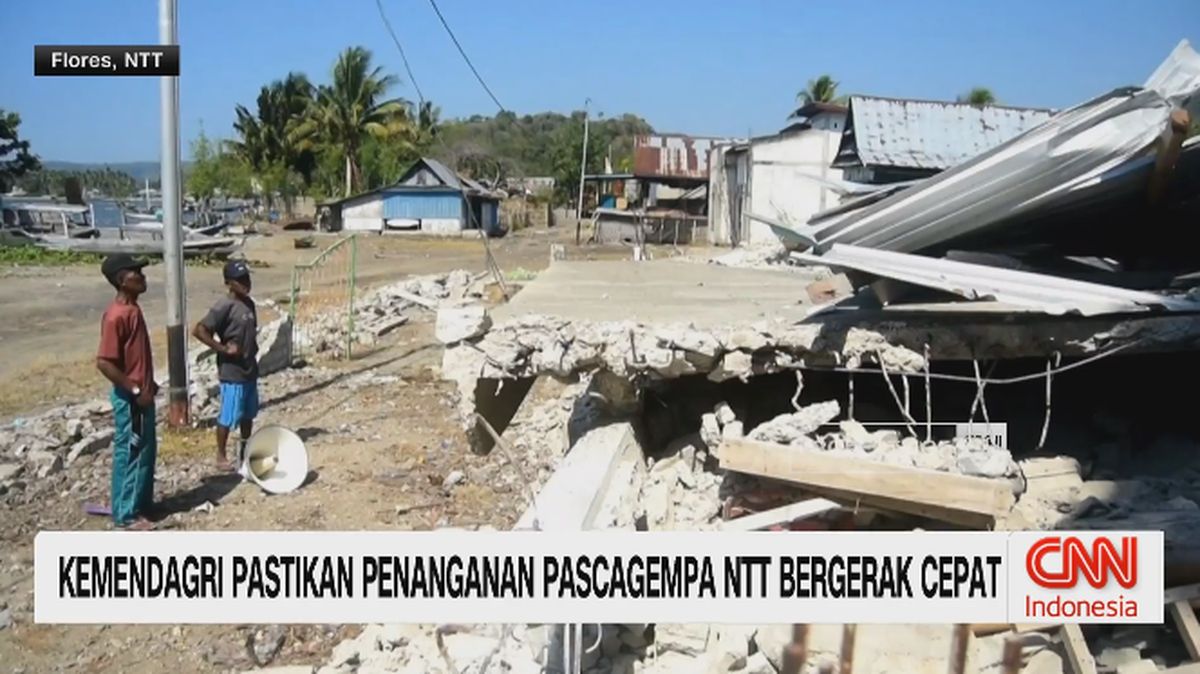 kemendagri-pastikan-penanganan-pascagempa-ntt-bergerak-cepat-1787058008365_169-1