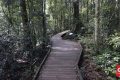 Australia Siapkan Taman Nasional Baru, Ada Jalur Hiking hingga Camping