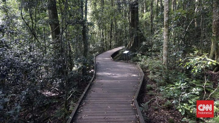 Australia Siapkan Taman Nasional Baru, Ada Jalur Hiking hingga Camping