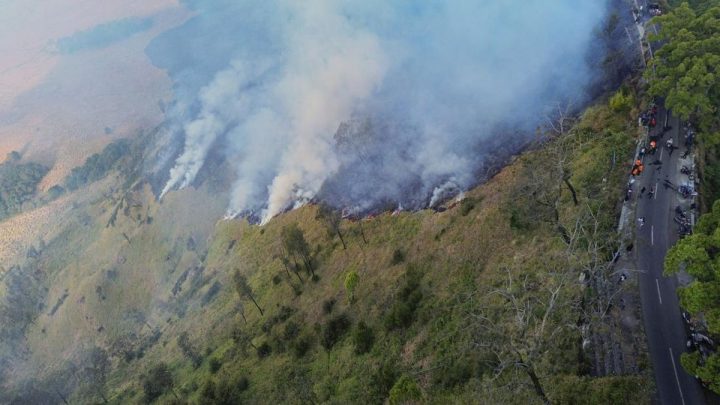 Kebakaran Kawasan Bromo Meluas hingga 80 Hektare