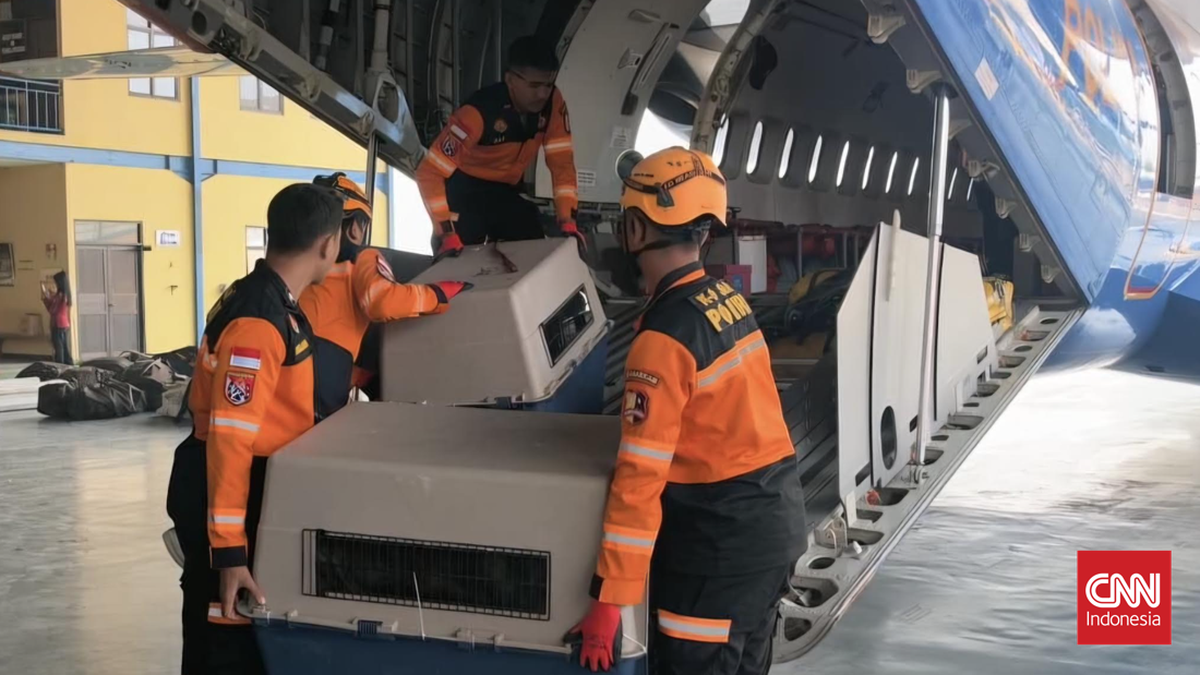 polri-kembali-mengirim-personel-sar-anjing-pelacak-atau-k9-serta-bantuan-logistik-untuk-mendukung-penanganan-bencana-gempa-bum-1786863072400_169